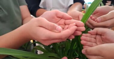 💧 «Капля жизни» — капля добра и памяти